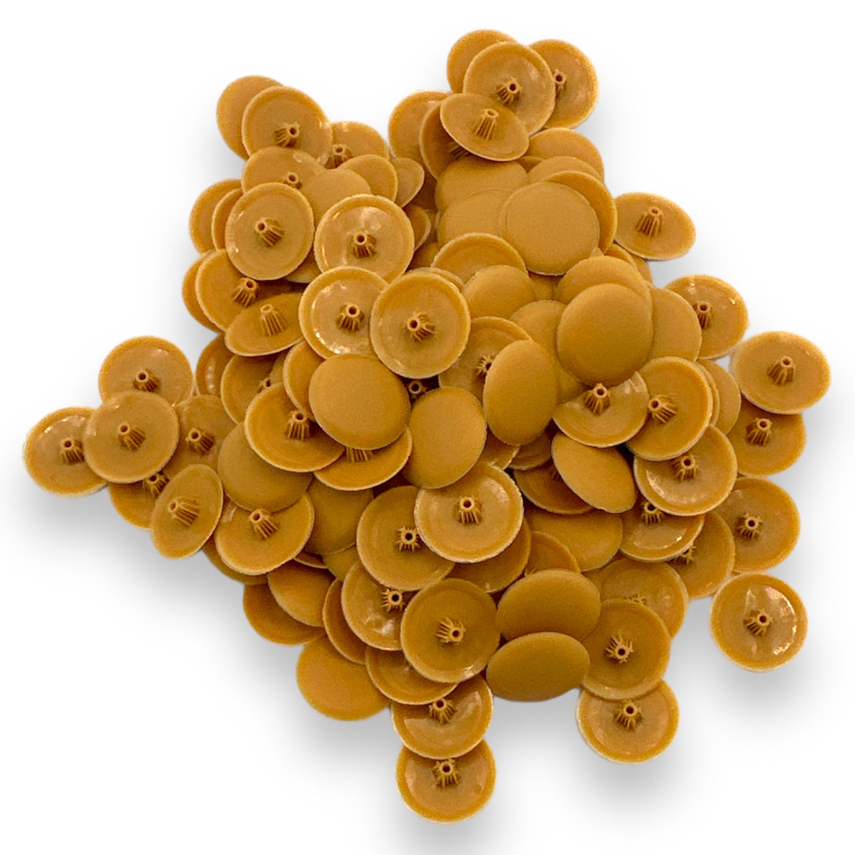 Pozi Phillips Cover Caps Bifix™ Honeymaple Screw Snap On 6-8g Pz2 Ph2 Push Fix