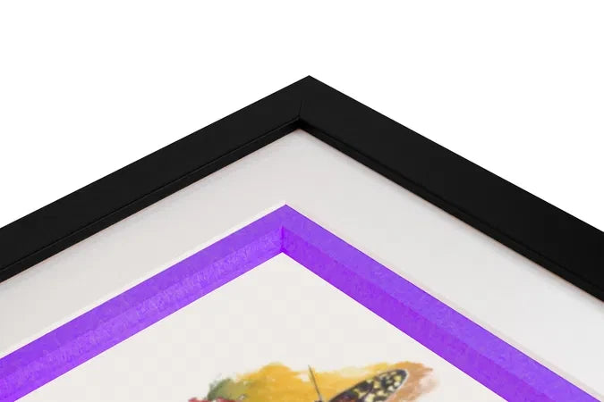 Pro 46 Coloured Paper Tape – 48mm × 55m, 9 Colours – product image 16