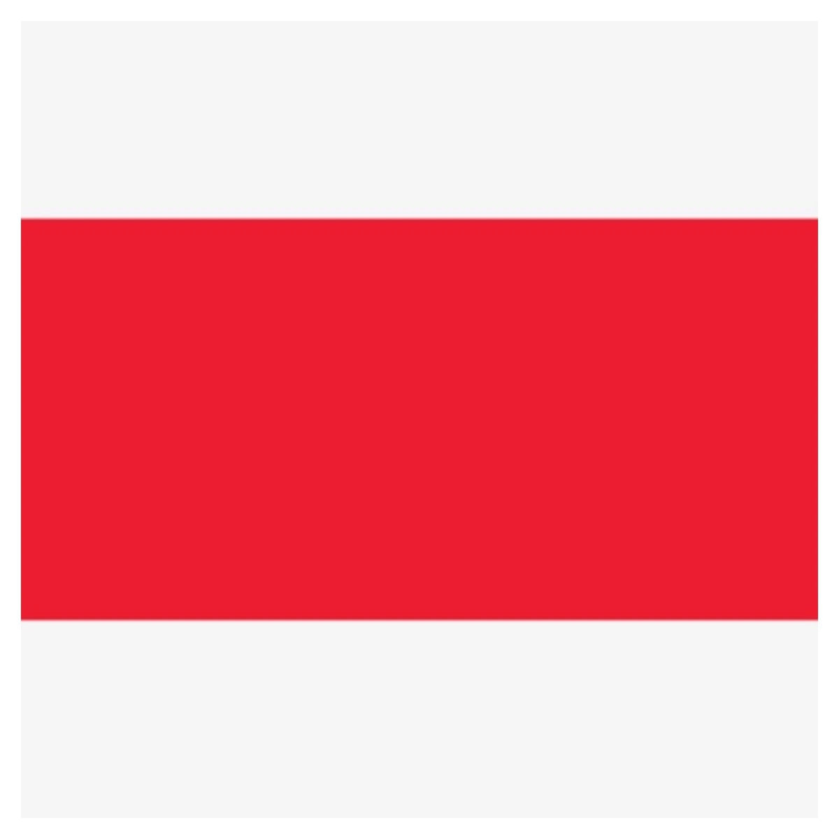 Enamel Paint Oil Based Post Offcie Red Signwriting & Pinstriping - 250ml – product image 6