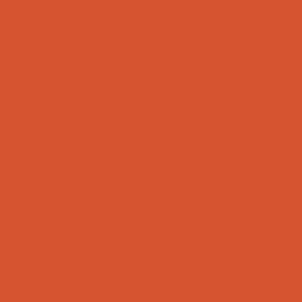 Polyvine Acrylic Colourant 50g Red Oxide Waterbased Concentrated Pigments – product image 2